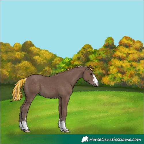 Horse Color:Painted Silver Black