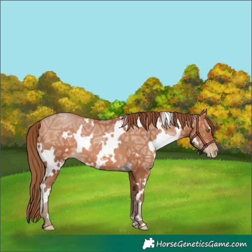 Horse Color:White Spotted Brown Ice Pearl