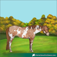 Horse Color:White Spotted Brown Ice Pearl 