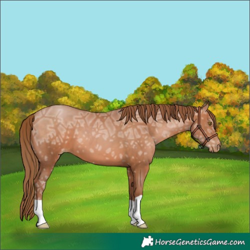 Horse Color:Brown Ice Pearl