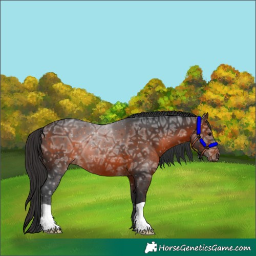 Horse Color:Brown Ice 