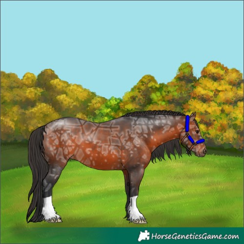 Horse Color:Brown Ice 