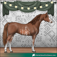 Horse Color:Chestnut Sabino
