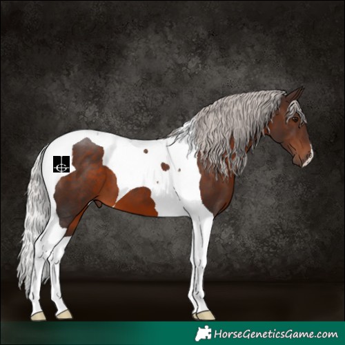 Horse Color:Silver Brown Tobiano 