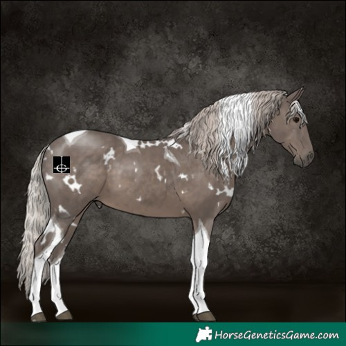 Horse Color:White Spotted Silver Black Tobiano 