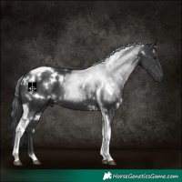 Horse Color:White Spotted Black Tobiano 