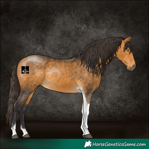 Horse Color:Buckskin Tobiano Rabicano