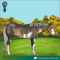 Horse Color:Silver Smoky Black Sabino 