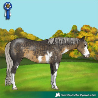 Horse Color:Silver Smoky Black Sabino 