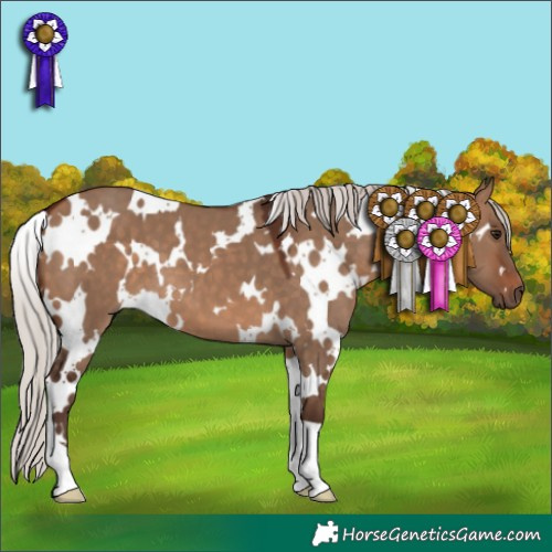 Horse Color:White Spotted Silver Brown Dun 