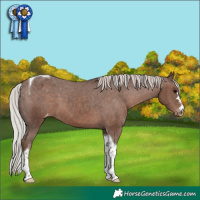 Horse Color:Silver Black Tobiano Varnish 