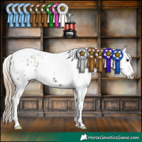 Horse Color:White Spotted Silver Smoky Grullo Tobiano Appaloosa  and Smoky Grullo Tobiano Appaloosa 