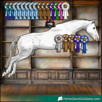 Horse Color:White Spotted Silver Smoky Grullo Tobiano Appaloosa  and Smoky Grullo Tobiano Appaloosa 
