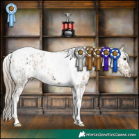 Horse Color:White Spotted Silver Smoky Grullo Tobiano Appaloosa  and Smoky Grullo Tobiano Appaloosa 