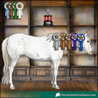 Horse Color:White Spotted Silver Smoky Grullo Tobiano Appaloosa  and Smoky Grullo Tobiano Appaloosa 