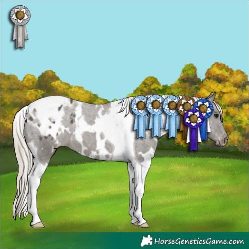 Horse Color:White Spotted Silver Smoky Black Tobiano Appaloosa 