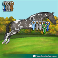 Horse Color:White Spotted Grullo Tobiano Brindle