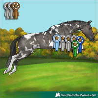 Horse Color:White Spotted Grullo Tobiano Brindle 