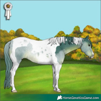 Horse Color:Watercolor Smoky Black Tobiano 