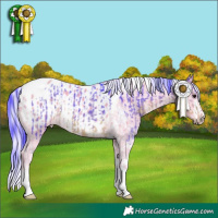 Horse Color:Watercolor Buckskin Tobiano  and Watercolor Silver Smoky Creme Blanket 