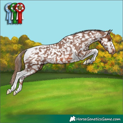 Horse Color:Chestnut Tobiano Snowflake Varnish 
