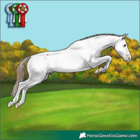 Horse Color:Chestnut Tobiano Appaloosa
