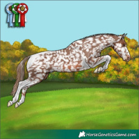 Horse Color:Chestnut Tobiano Snowflake Varnish