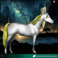 Horse Color:Gray Painted Black 