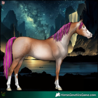 Horse Color:Gray Painted Gold Champagne 