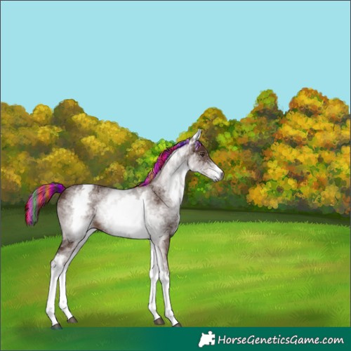 Horse Color:Gray Painted White Spotted Chestnut 