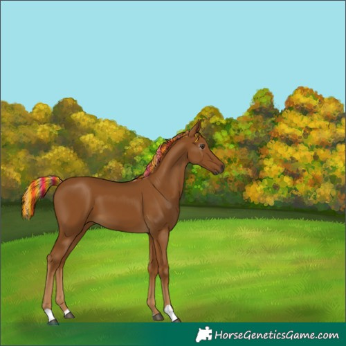 Horse Color:Gray Painted Palomino 
