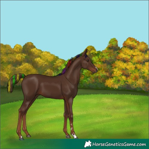Horse Color:Gray Painted Chestnut 