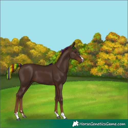 Horse Color:Gray Painted Chestnut 