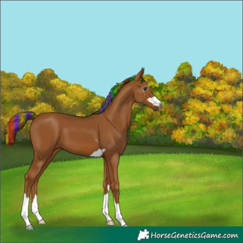 Horse Color:Gray Painted Chestnut 
