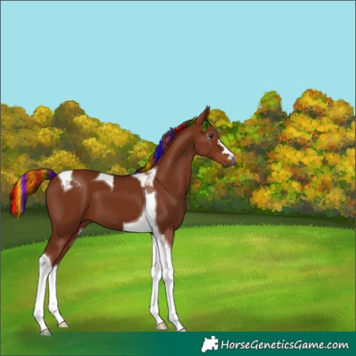 Horse Color:Gray Painted Chestnut Tobiano 