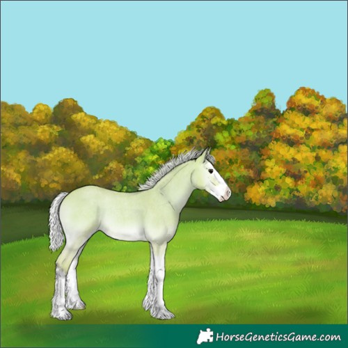 Horse Color:Watercolor Silver Bay Roan Onyx Splash 