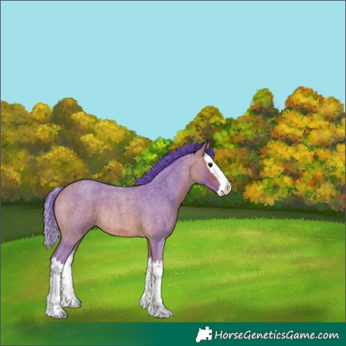 Horse Color:Watercolor Bay Roan Splash Rabicano 