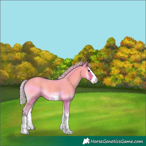 Horse Color:Watercolor Silver Blue Onyx Sabino Splash Rabicano 