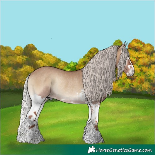 Horse Color:Silver Grullo Onyx Splash Rabicano 