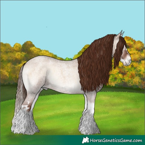 Horse Color:Red Dun Roan Onyx Splash 