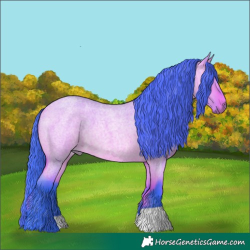 Horse Color:Watercolor Bay Roan Dun 