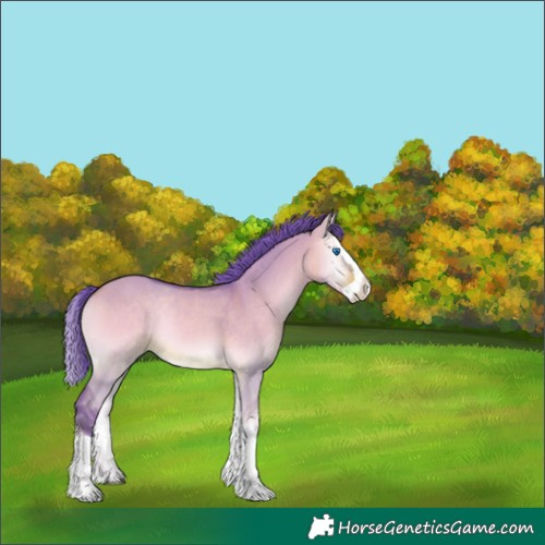 Horse Color:Watercolor Bay Onyx Splash Rabicano 