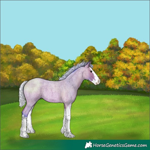 Horse Color:Watercolor Silver Bay Roan Splash 