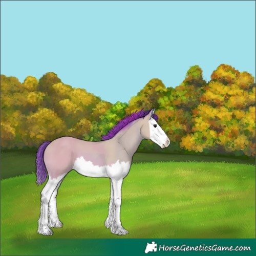 Horse Color:Watercolor Buckskin Splash 