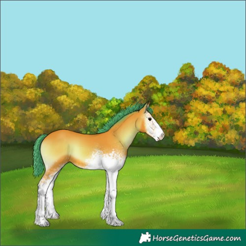 Horse Color:Watercolor White Spotted Bay Onyx 