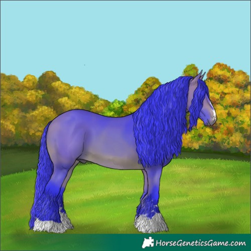 Horse Color:Watercolor Bay 