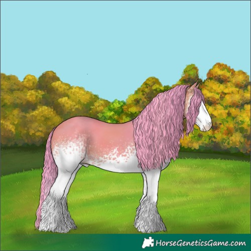 Horse Color:Watercolor White Spotted Buckskin 