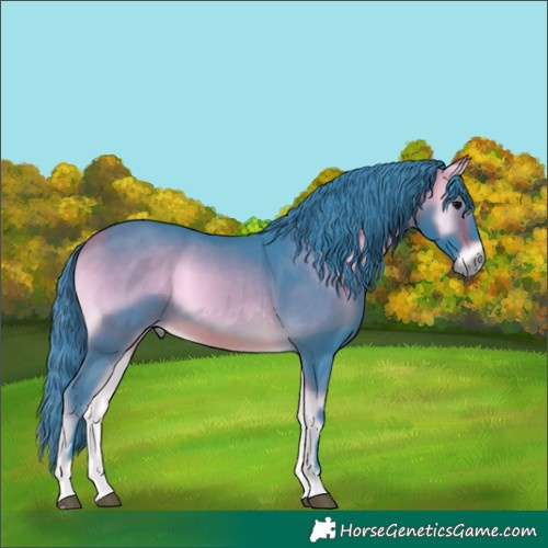 Horse Color:Watercolor Buckskin Onyx 