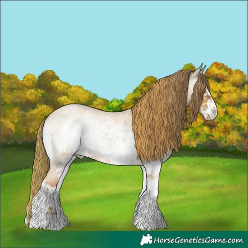 Horse Color:Watercolor White Spotted Red Onyx Roan 