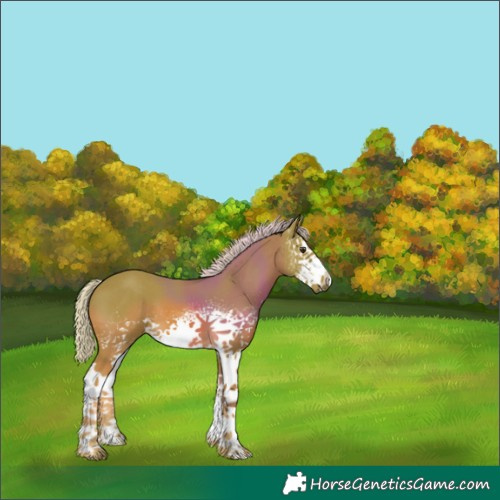 Horse Color:Watercolor White Spotted Palomino 